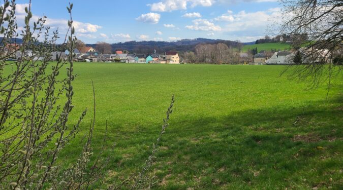 Ein bauträgerfreies schönes Grundstück in Steina